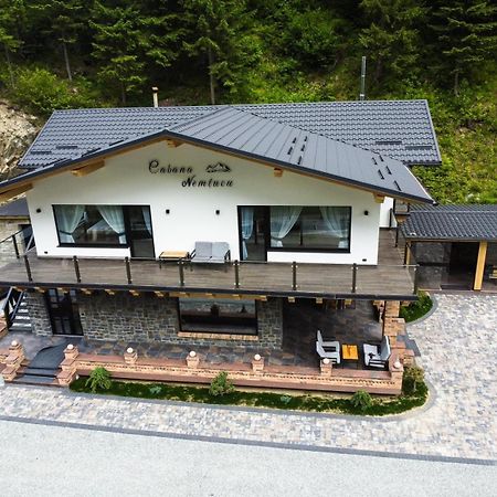 Cabana Nemtucu Borşa Exterior foto