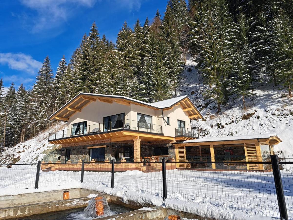 Cabana Nemtucu Borşa Exterior foto