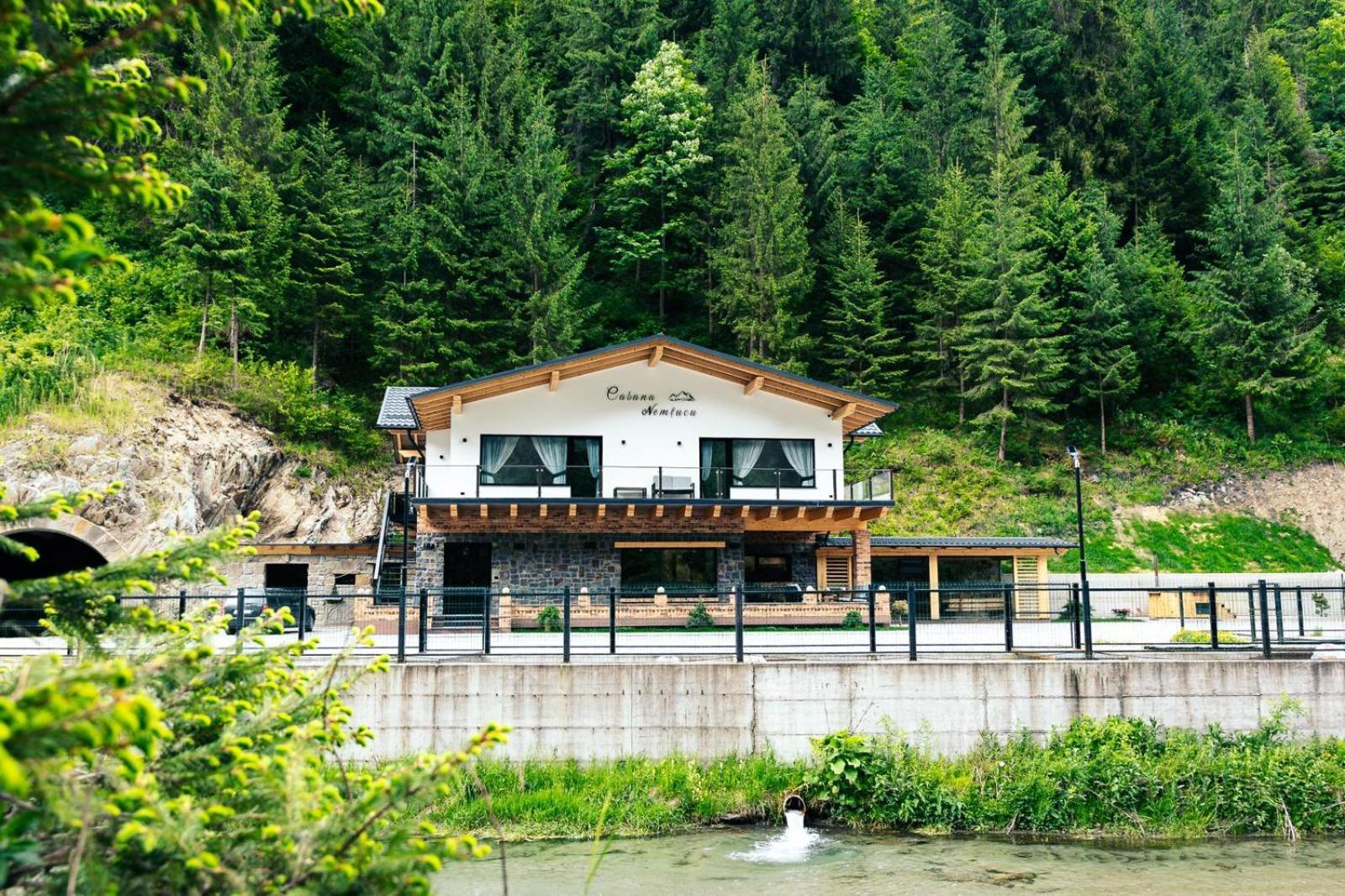Cabana Nemtucu Borşa Exterior foto