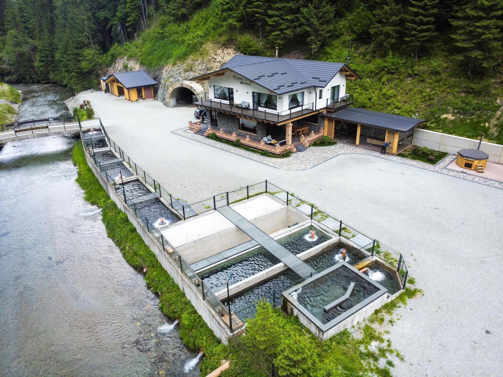 Cabana Nemtucu Borşa Exterior foto