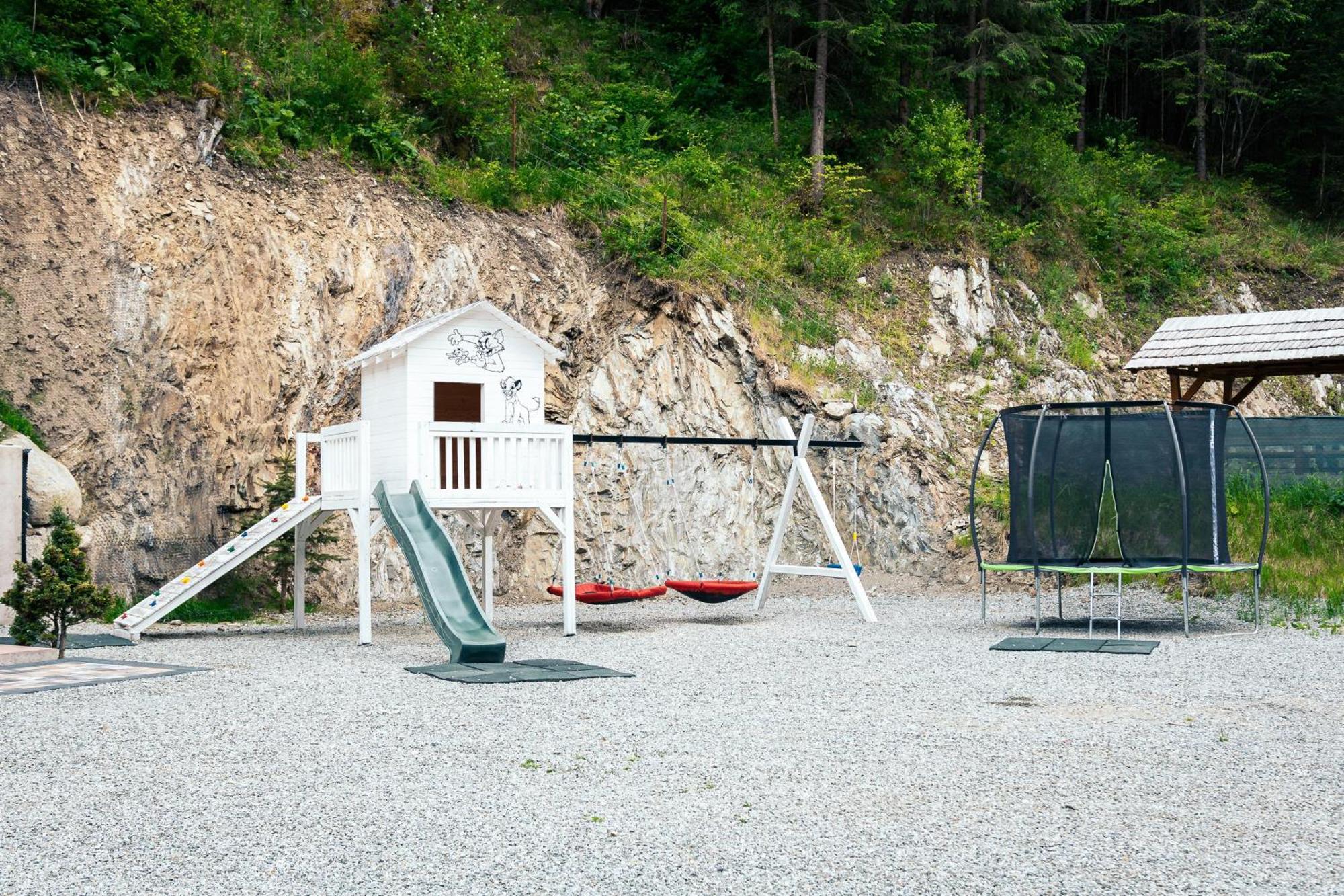 Cabana Nemtucu Borşa Exterior foto