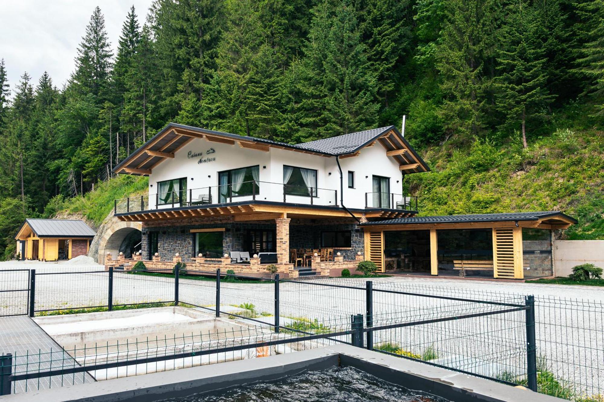 Cabana Nemtucu Borşa Exterior foto