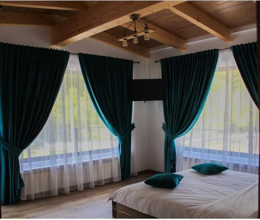 Cabana Nemtucu Borşa Exterior foto