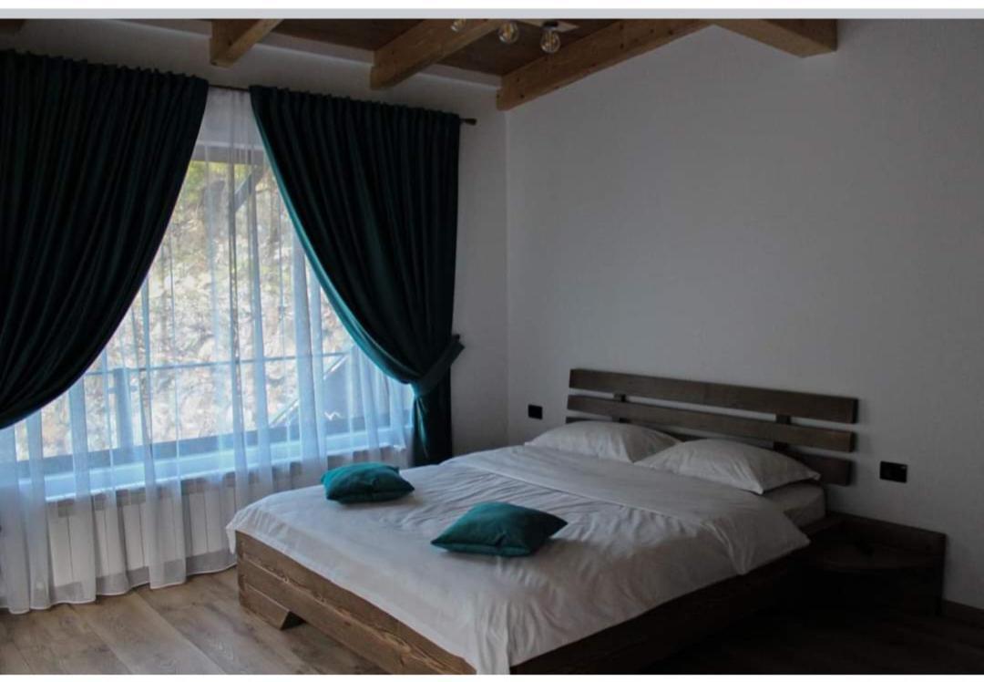 Cabana Nemtucu Borşa Exterior foto